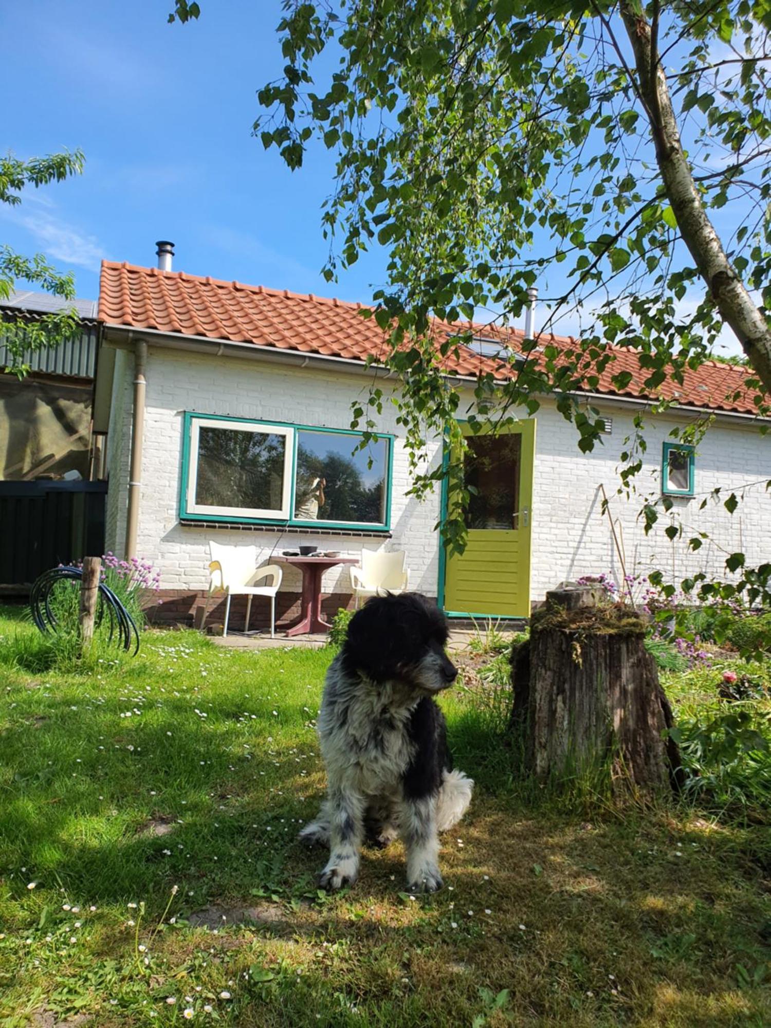 Huisje Fiederels Bant Exterior foto